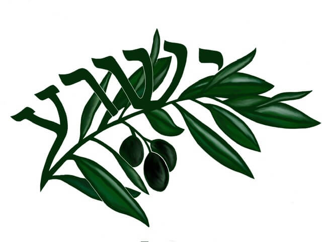 Yeshua the Branch - © 2017 Daniah Greenberg