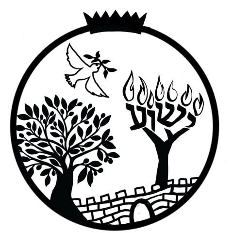 Two Trees in Jerusalem - © 2019 Daniah Greenberg