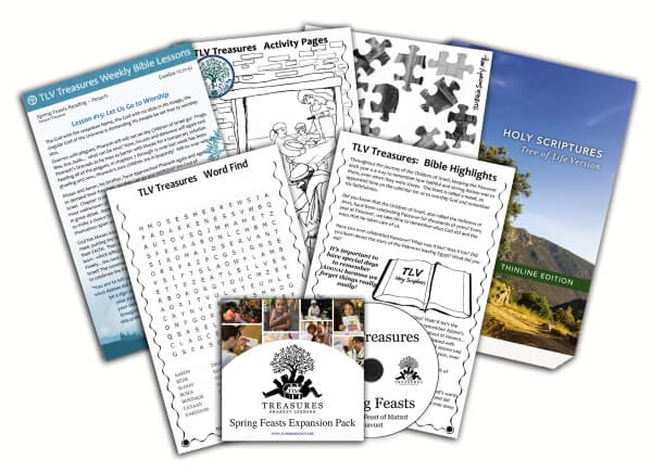 TLV Treasures - © 2019 Daniah Greenberg